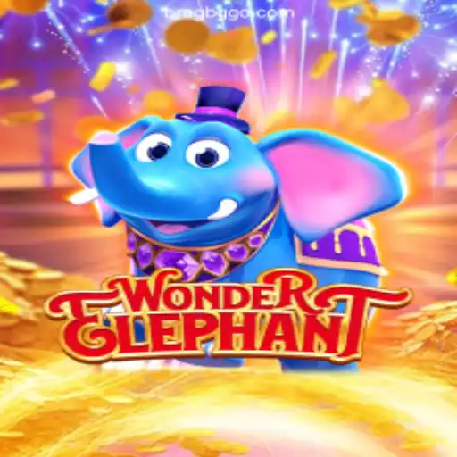 Unveiling WonderElephant: Gaming Meets Strategy in an Exciting New Adventure